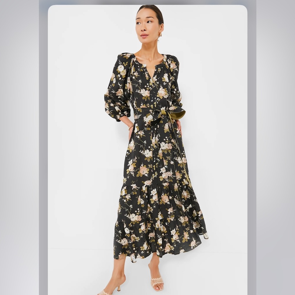 Tuckernuck Midnight Garden Lyles dress